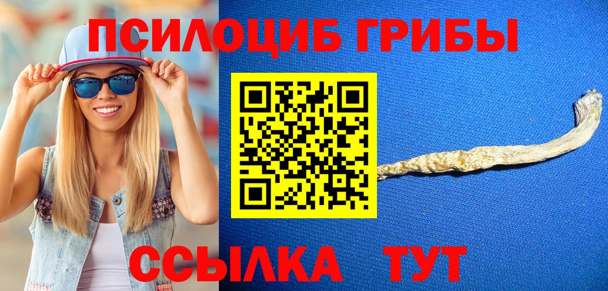 Псилоцибиновые грибы Psilocybe  Вход с VPN  Красноармейск  где купить наркоту  Галлюциногенные грибы Magic Shrooms 